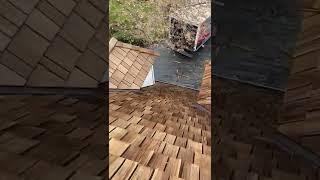 After Roof Cleaning by Rainier Roof Restoration