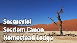 Namibia Teil 11: From Swakopmund to Sossusvlei/Deadvlei/Sesriem Canyon/Homestead Lodge