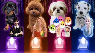 Wednesday Bloody Mary | Shakira Waka Waka | Baby Shark | Elsa Barbie Girl | Cute Dogs Covers Songs