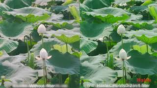 Using Haida PROII CPL-VND 2 in 1 Filter to Shoot Flowers and Clouds