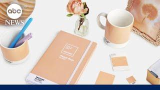 Pantone announces its 2024 color of the year: Peach Fuzz