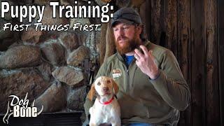 Puppy DVD: First Things First