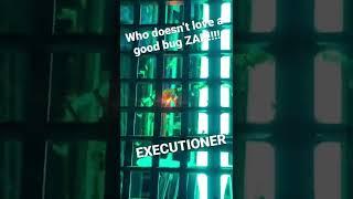 ZAAAAAPPPPPPPPP!!! EXECUTIONER