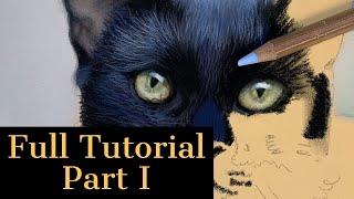 Full Pastel Drawing Tutorial Part 1 - How to Paint Black Fur and Cat Eyes