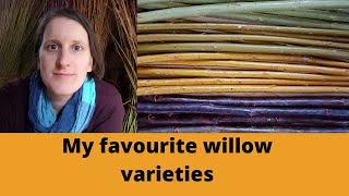 Growing willow for basket making: My favourite willow varieties