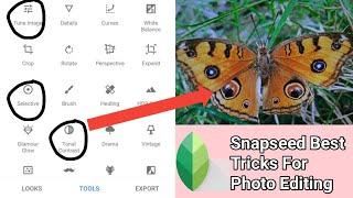 Snapseed Best Tricks Photo Editing | IT TubeTv |