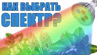 КАК ВЫБРАТЬ СПЕКТР ФИТОЛАМПЫ? ВСЕ О СПЕКТРАХ ФИТОЛАМП!