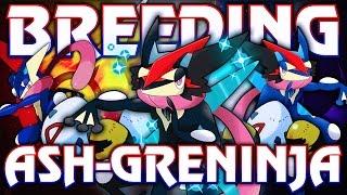 "BREEDING ASH-GRENINJA IN POKEMON SUN & MOON" - The ULTIMATE Ash-Greninja Breeding Theory w/ Hydros