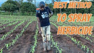 This is how to spray Maize herbicide the right way with the right nozzle