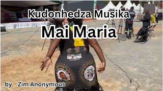 Kudonhedza Musika    by Zim Anonymous