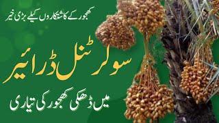 A Breakthrough in Processing Technology of Dhakki Dates