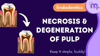 Pulp Degeneration & Necrosis - Types , Management | Endodontics | Animated Explanation