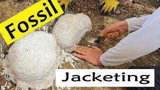 Fossil Jacketing and Flipping - 2022 PaleoAdventures dig