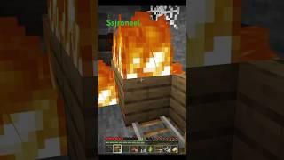 Did you know wood is flammable in #minecraft #gaming