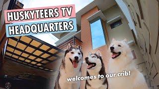 HOUSE TOUR DOG EDITION | HUSKYTEERS TV