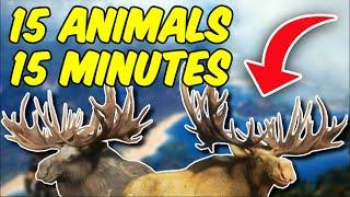 Find Animals FASTER With This Cheat Sheet! -  TheHunter: Call of the Wild 2023!