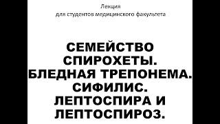 Семейство спирохеты. Бледная трепонема. Сифилис. Лептоспира и лептоспироз.