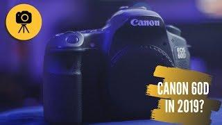 Canon 60D in 2019: Still Relevant?