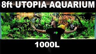 The 8ft "Utopia" Aquarium: EPIC 1000L Build over 300 Fish (Aquascape Tutorial)