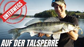 Zander Vlog | Mit Gummifisch in der Talsperre