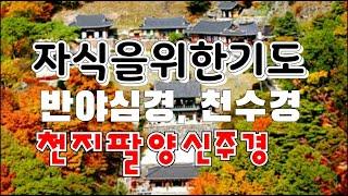 [독경 자식을위한기도] 반야심경, 천수경, 천지팔양신주경 연속 영인스님 매일기도하라 소원성취기도 자막있음 고요한새벽540 담화총사