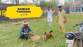 Bandar Tamasha  | Fun duniya | monkey lovers 