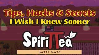 SpiriTTea  - Tips, Hacks & Secrets that I wish I knew Sooner