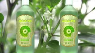 How BioBizz Nutrients make plants healthy | An overview by Greens Hydroponics