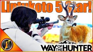 5 Star Roe Deer!!! The Quest to Fill Our Lintukoto Lodge Begins! | Way of the Hunter