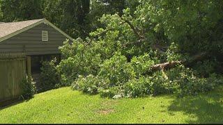 Flooded roads, fallen trees | Severe weather in Georgia