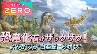 [サイエンスZERO] 恐竜化石がザックザク！“白亜紀ニッポン”がよみがえる | NHK