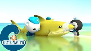 Octonauts - Le requin-citron perdu | Dessins animés pour enfants