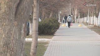 Число заболевших новой коронавирусной инфекцией в Серпухове увеличилось до 6 человек
