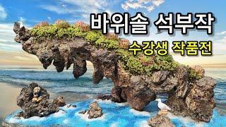 바위솔 석부작 교육 수강생 작품 사진전시 영상 올립니다. 석부작 수강 용설이네 바위솔 농원 경기도 안성