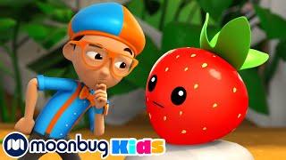 Frutas y vegetales - @BlippiEspanol | Blippi Wonders | Caricaturas para niños