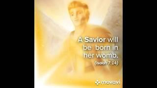 A SAVIOR will be born in her womb. (Isaiah 7:14) / Merry Christmas Eve!