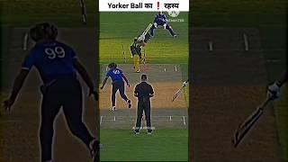 Yorker Ball का ️बड़ा रहस्य [ Don't Miss End ] #shorts #cricket