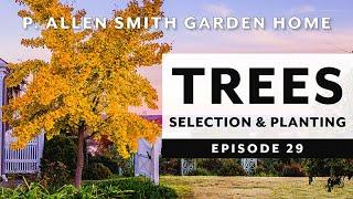 Selecting a Tree to Purchase | Fall Tree Planting: P. Allen Smith