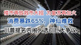 楼市再放大招，为复苏再添火！消费暴跌65%，神仙难救！川普提名内阁人选引发巨大争议！卢比奥要小心了！(20241113第1310期)