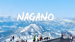 NAGANO JAPAN YAMANOUCHI (Ryuoo Ski Park Sora Terrace Cafe)