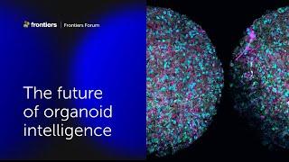 Thomas Hartung and colleagues | The future of organoid intelligence | Frontiers Forum Deep Dive 2023