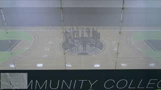 Moraine Valley Community College vs Danville Area Community College Men's Basketball