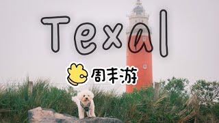 荷兰｜Texel 小岛周末游