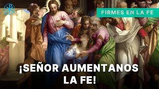 ¡Señor Auméntanos la Fe! | Firmes en la fe - P. Gabriel Zapata