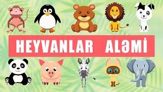 HEYVANLAR ALƏMİ- 1 - HEYVANLARLA TANIŞ OLAQ! (Azərbaycan dilində cizgi filmi)