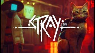 Let's Play Stray Part 1 Not   a bad start!