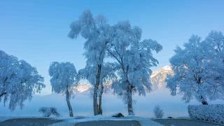 Beautiful winter scenery Switzerland - Frozen Winter Nature