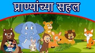 प्राण्यांच्या सहल - Marathi Goshti गोष्टी | Chan Chan Goshti | Marathi Story | Ajibaicha Goshti