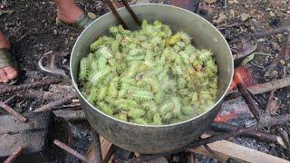 Ăn bọ nẹt màu xanh | Survival tv