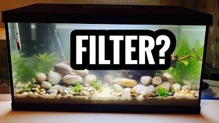 Best Filter for Guppy Fish Tank!